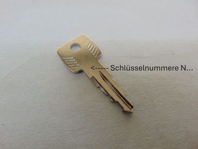 Original Thule Ersatzschlüssel N202 für Dachträger Heckträger und Dachboxen Schlüssel