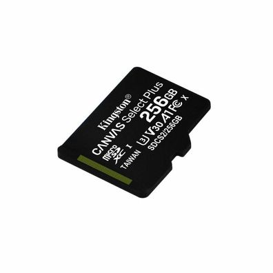 Canvas Select Plus 256 GB microSDXC (schwarz, UHS-I U3, Class 10, V30, A1)