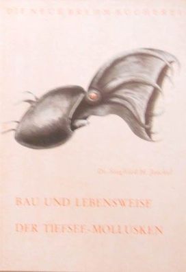 Bau und Lebensweise der Tiefsee Mollusken - broschiert 1