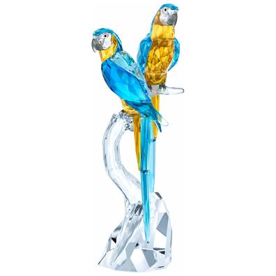 Swarovski ARAS 5301566