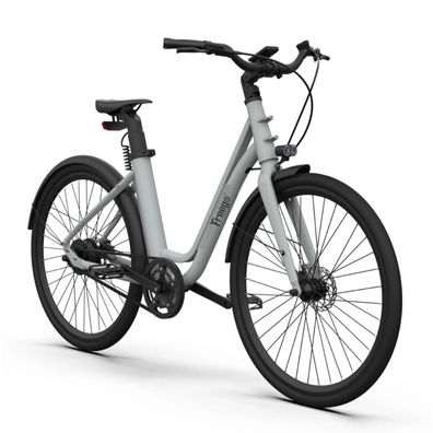 Leichtes Step-Thru-Elektrofahrrad mit Drehmomentsensor E-Bike mit 250W 36V 10AH Motor