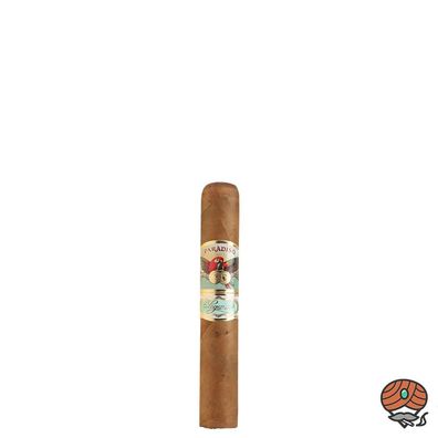 Paradiso Elegancia Robusto Zigarre aus Nicaragua
