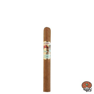Paradiso Elegancia Churchill Zigarre aus Nicaragua
