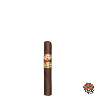 Paradiso Classic Papagayo Toro Zigarre aus Nicaragua