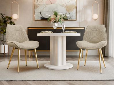 Stuhl Muz DC-1084/GL (2er-Set) Esszimmerstuhl Wohnzimmerstühle Polsterstuhl M24