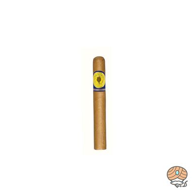 Santa Damiana Classic Petit Corona Zigarre Dominikanische Republik