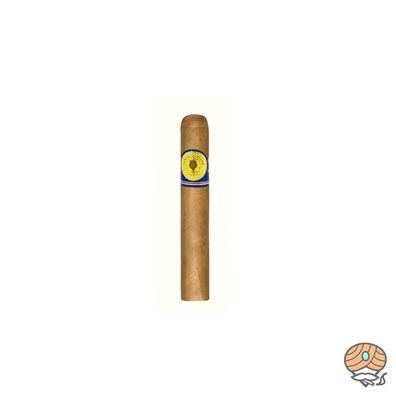 Santa Damiana Classic Robusto Zigarre Dominikanische Republik