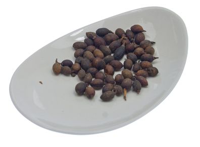 SENA -Premium - ganze Lorbeerfrüchte