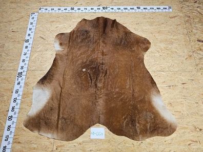 Kuhfell mit kleinen Mängeln 41-064