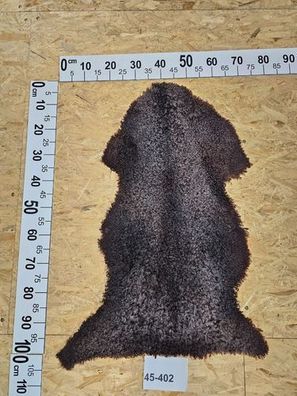 Schaffell kurz gelockt Gotland Unikat 45-402