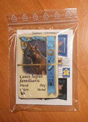 Brügge | Die Haustiere - Minierweiterung