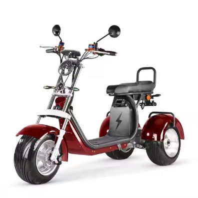 Elektro Dreirad mit Straßenzulassung Seniorenmobil 4000W 45KM/h 3-Rad E-Roller 2400Wh