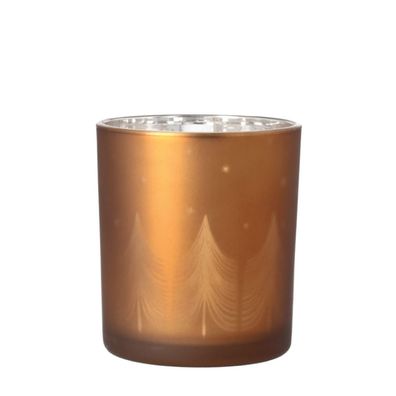 Glanzlicht "Tannenwald"