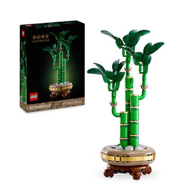 10344 Botanicals Glücks-Bambus