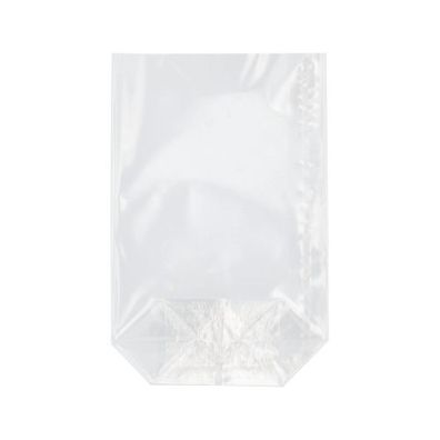 4 x 300 Bodenbeutel, PP 17,3 cm x 11,5 cm x 4 cm transparent