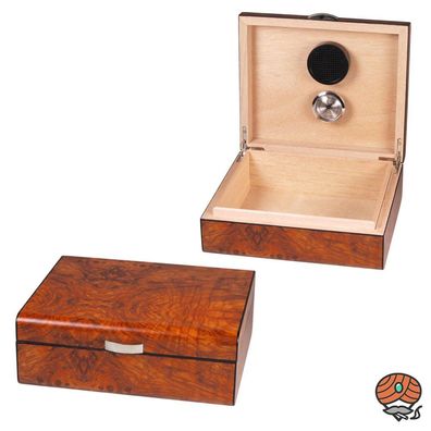Hauser Humidor Wurzelholzdekor Ulme, für bis zu 25 Zigarren
