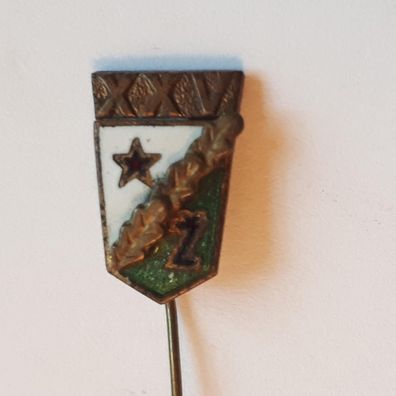 Anstecknadel Litauen Fußballverein FC Zalgiris/Vilnius
