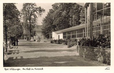 AK Bad Wildungen (34521), Am Cafe' im Kurpark, n. gelaufen