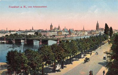 AK Frankfurt a.M. (60306) Frankfurt a. M., vom Schaumainkai, n. gelaufen
