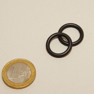 JBL Dichtung Schlauchanschlußblock CristalProfi e401 e402 e701 e702 e901 e902