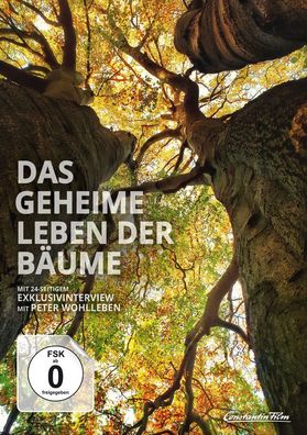 Das geheime Leben der Bäume (Blu-ray & DVD im Mediabook) - Uni