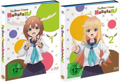 My Deer Friend Nokotan - Vol.1-2 - Blu-Ray - NEU