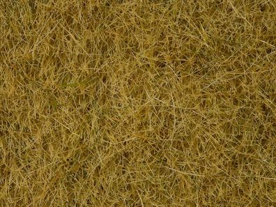 NOCH G,1,0, 0, 0M, 0E, T, , 7101 Wildgras, beige, 6 mm, 50 g