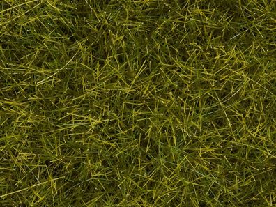 NOCH G,1,0, 0, 0M, 0E, T, , 7110 Wildgras XL “Wiese”, 12 mm, 40 g