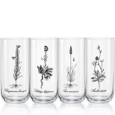 Longdrinks Herbal Wiesenkräuter Kristallglas 440 ml 4er Set Bohemia