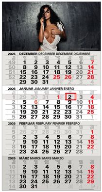 Sexy 4-Monatskalender Kompakt 2026 Bürokalender großer Erotik Wandkalender