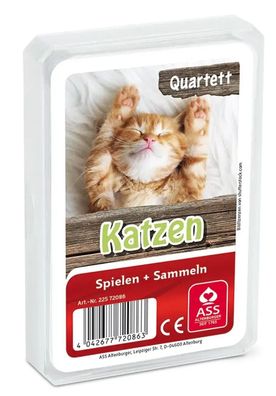 Tier-Quartett - Katzen