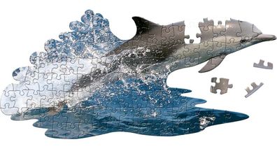Delfin Junges
