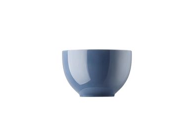 Thomas Vorteilsset 2 x Sunny Day Nordic Blue Müslischale 10850-408545-15456 und