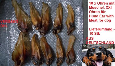 10 x Ohren mit Muschel, XXL Ohren für Hund Ear with Meat for dog