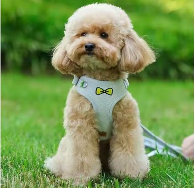 Topmast Weiches Plüsch-Hundegeschirr + Leine - Komfort - Blau