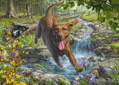 Hundeliebe: Frühlingsspaziergang mit Labrador Retriever