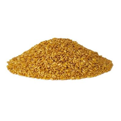 Goldpferd Leinsaat, gold