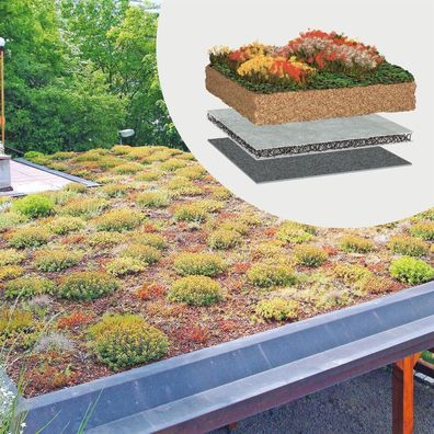 BauderGREEN Gründachpaket Extensiv 100kg/m² - 10m²