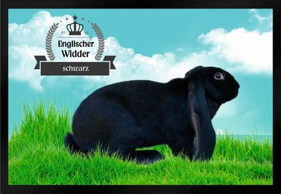 Fußmatte Schmutzfangmatte Kaninchen Englische Widder schwarz F1488 60x40 cm