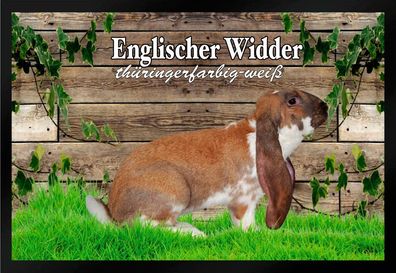 Fußmatte Schmutzfangmatte Kaninchen Englische Widder thür.-weiß F1489 60x40 cm