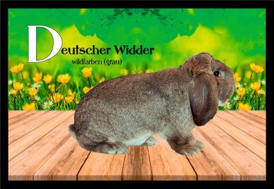 Fußmatte Schmutzfangmatte Kaninchen Dt. Widder wildfarben (grau) F1475 60x40 cm