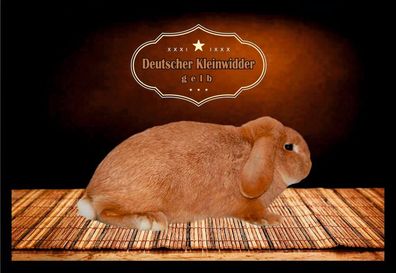 Fußmatte Schmutzfangmatte Kaninchen Deutscher Kleinwidder gelb F1474 75x50 cm