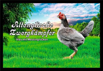 Fußmatte Hühner Altenglische Zwergkämpfer blau Messingrücken F1447 75x50 cm