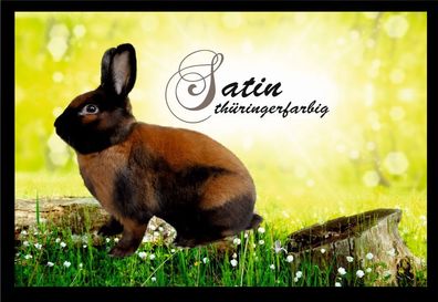 Fußmatte Schmutzfangmatte Kaninchen Satin thüringerfarbig F1432 75x50 cm