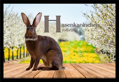 Fußmatte Schmutzfangmatte Kaninchen Hasenkaninchen rotbraun F1429 60x40 cm