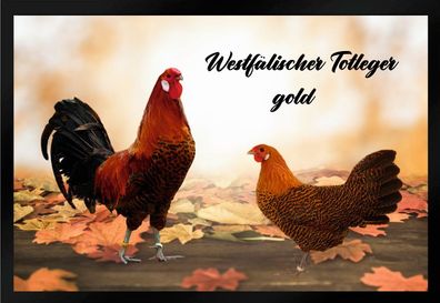 Fußmatte Schmutzfangmatte Hühner Westfälischer Totleger gold F1421 75x50 cm