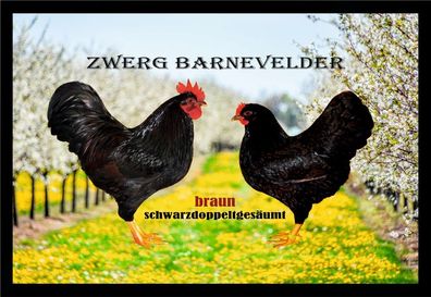 Fußmatte Schmutzfangmatte Hühner Zwerg Barnevelder b/s doppeltges. F1413 75x50 c