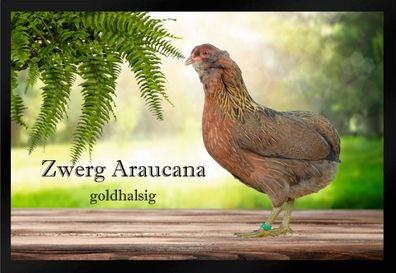 Fußmatte Schmutzfangmatte Hühner Zwerg Araucana goldhalsig F1406 75x50 cm