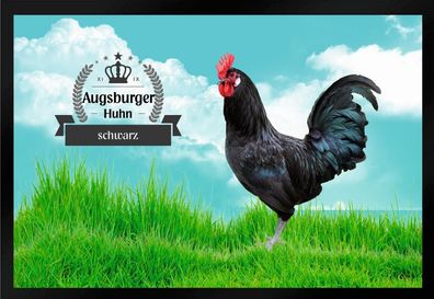 Fußmatte Schmutzfangmatte Hühner Augsburger Huhn schwarz F1403 75x50 cm