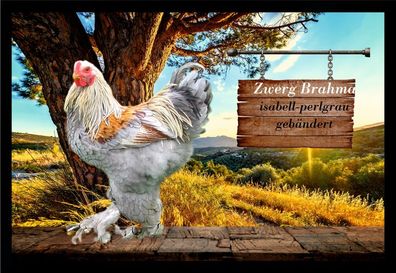 Fußmatte Schmutzfangmatte Hühner Zwerg Brahma isabell perlgrau geb. F1401 60x40
